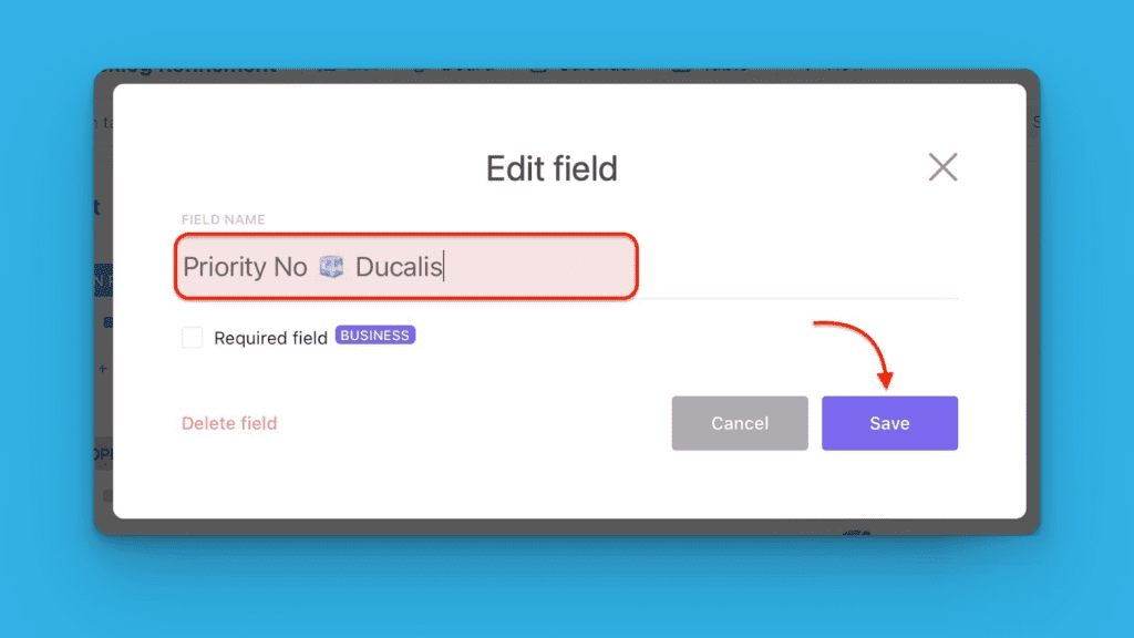 Переименованное поле с кнопкой Save