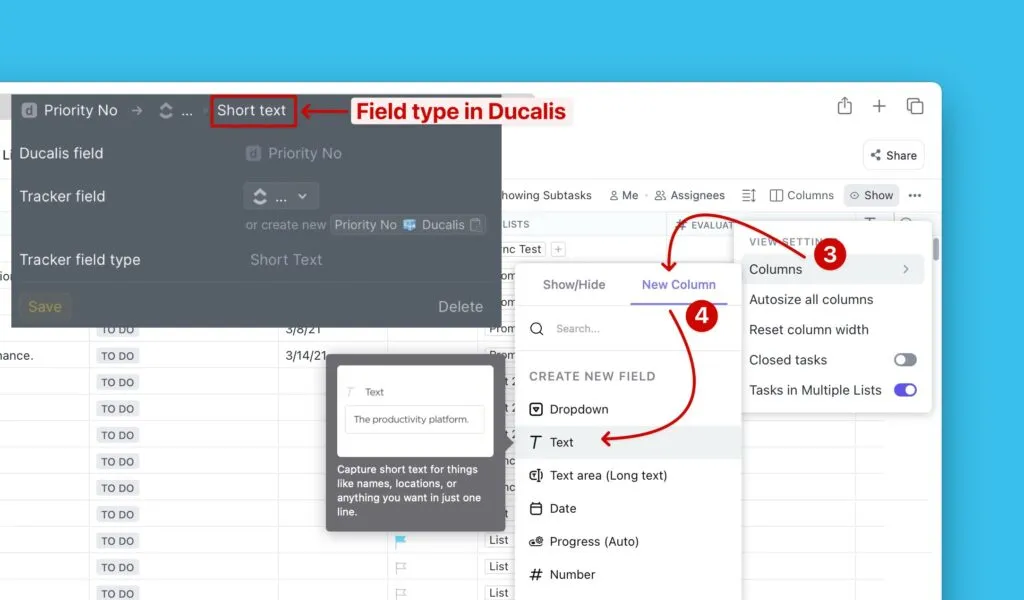 Выбор типа поля Text в ClickUp