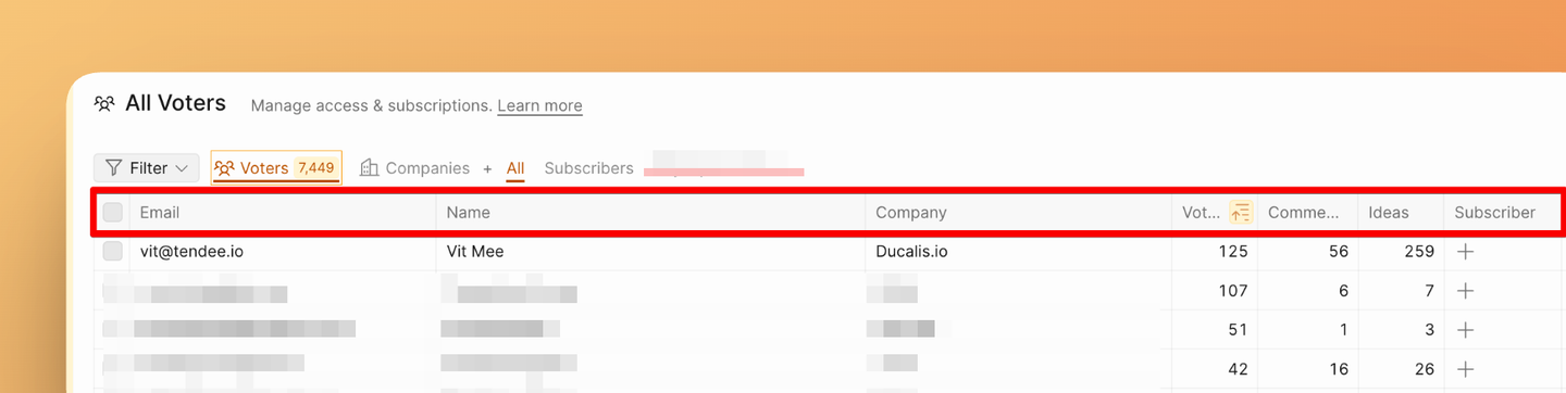 Колонки фильтра Voters с информацией о голосующих и их активности