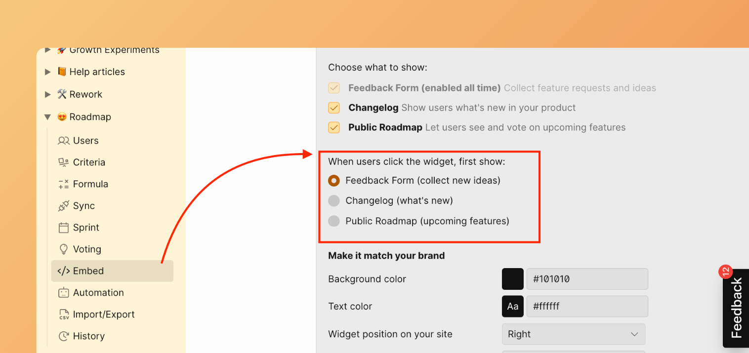 Выбор модуля виджета, который открывается первым