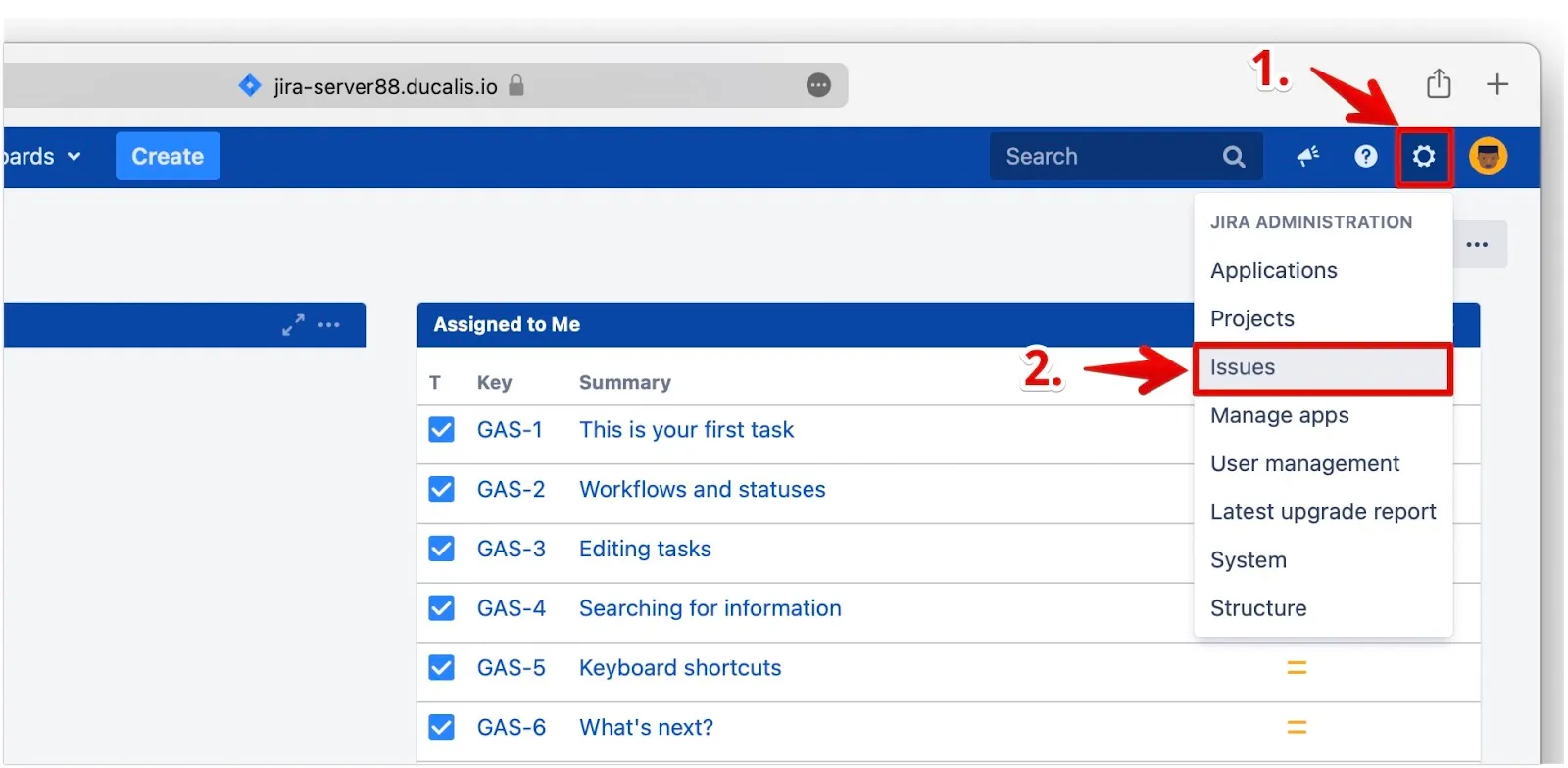 Меню Issues в администрировании Jira