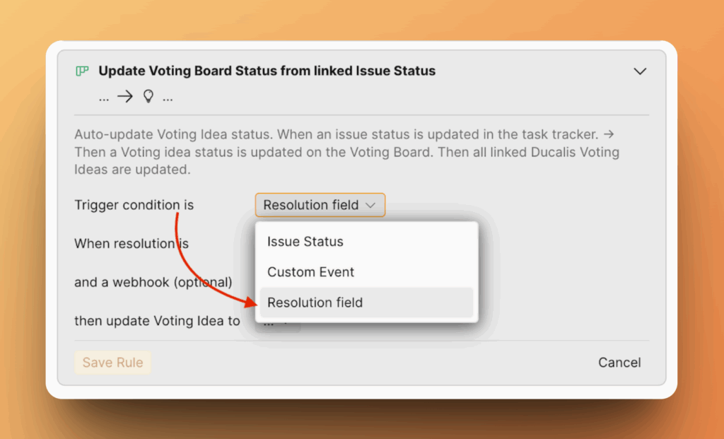 Опция поля Resolution