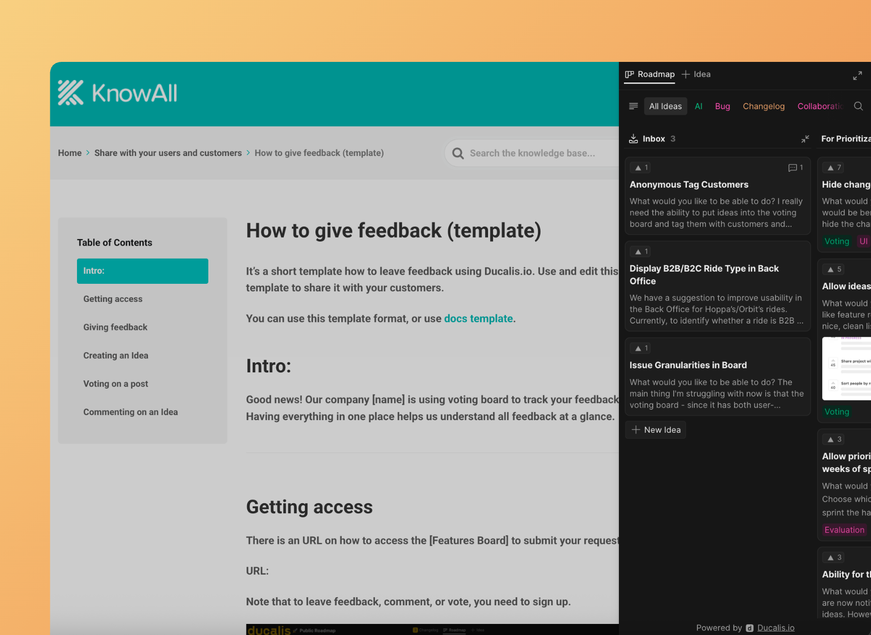 Пример с роадмапом на первой странице