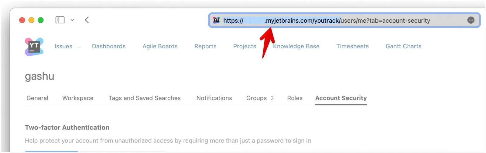 Базовый URL YouTrack в браузере